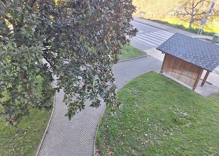 Jardines * О-Барко-де-Вальдеоррас